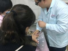 -北京观赏动物医院·24小时大型综合·猫专科·异宠专科