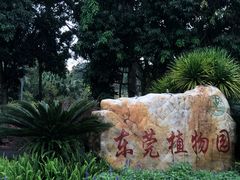 -东莞植物园
