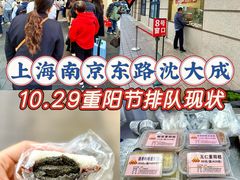 -沈大成(南京东路店)