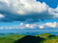 -武陵山森林公园