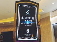 -影汇之星8字形摩天轮
