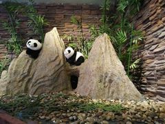 android_upload_pic-多喜客海鲜烤肉自助烤场(百花红楼店)