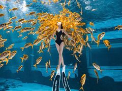 -三亚海昌梦幻海洋不夜城