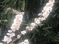 -金宫殿故址