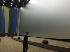 天幕新彩云国际影城-天幕新彩云国际影城(激光巨幕店)