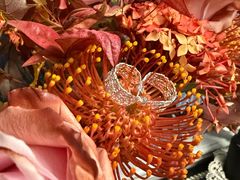 -OOAK设计师品牌概念店(新乐路店)