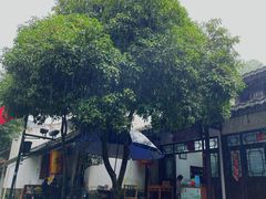 -阿巧茶庄