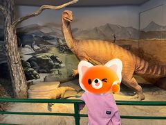 -陕西自然博物馆