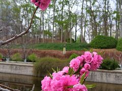 -元大都城垣遗址公园