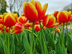 -玄武湖景区-情侣园游乐场