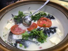 -全乐鱼馆·淳牌有机鱼直营店
