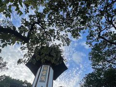 -上海佘山国家森林公园天马山园