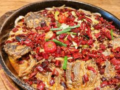 -老板恋上鱼(高新万达店)