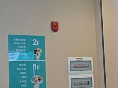 -瑞派伍一宠物医院·眼科·骨科·猫科转诊中心(马王堆院)