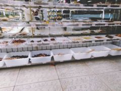 宽粉-袁记串串香(人民公园店)