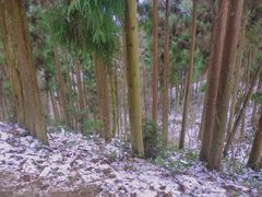 -太阳湾风景区