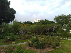 -人民公园(罗湖区)