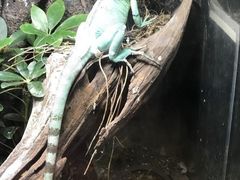 -深圳野生动物园
