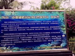 -亚龙湾海底世界