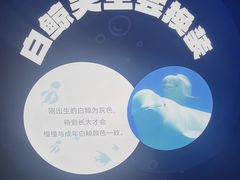 -广州海洋馆