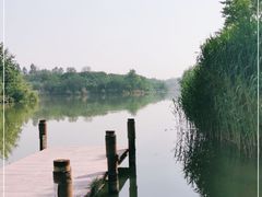 -白鹭湾湿地公园