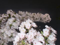 -和子足浴SPA会馆(东方之门店)