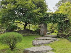 -东莞植物园
