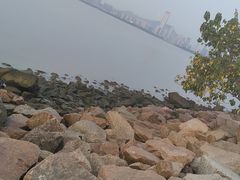 -深圳湾公园(南山区)