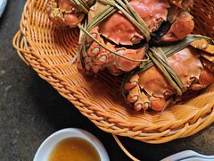 -蟹村草堂·苏式园林人文农家·大闸蟹