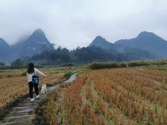 -靖西鹅泉风景区