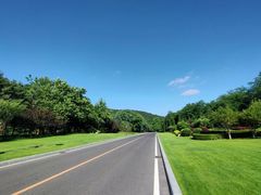 -棒棰岛宾馆景区