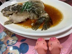 清蒸石斑鱼-金时代顺风大酒店(协泰店)