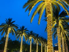 -环球影城莲花园 The Lotus Garden Universal Studios 