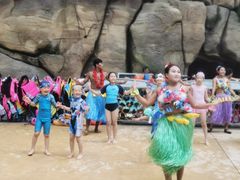 -杭州开元森泊度假乐园