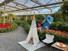 -南宫五洲植物乐园