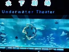 -泉城欧乐堡海洋极地世界
