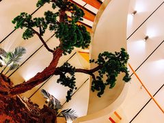 -苏小柳手作点心(控江旭辉分院)