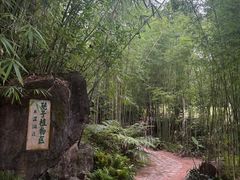 -深圳仙湖植物园