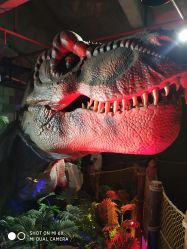 -恐龙探索乐园(磁器口店)