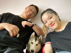 -Husky Go! 哈士奇体验馆·宠物咖啡厅狗咖