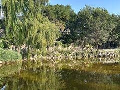-文瀛公园