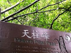 -龙湾潭国家森林公园