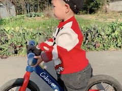 -稚马儿童平衡车自行车俱乐部