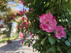 -广富林郊野公园