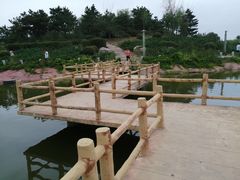 -通辽森林公园