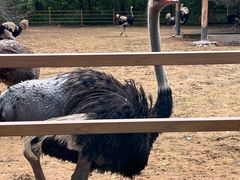 -秦皇岛野生动物园