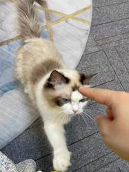 -元一肌肤管理中心