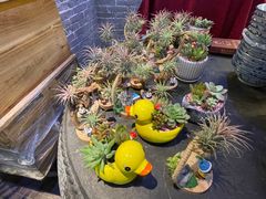 -园林美食城·本土农家菜(杨和镇店)