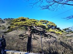 -黄山风景区