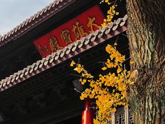 -灵谷景区